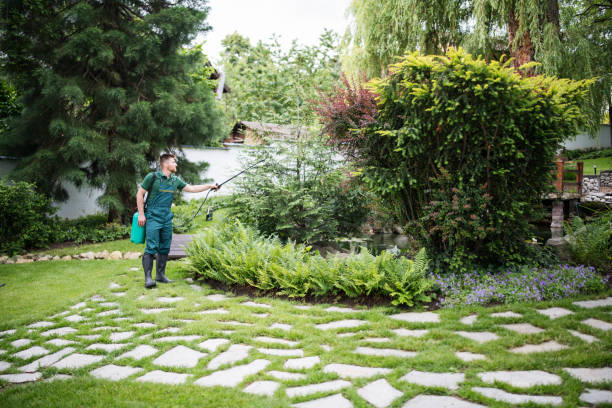 Pest Prevention Services in Camden, SC
