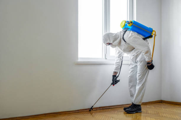  Camden, SC Pest Control Pros