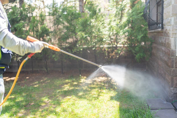 Best Best Pest Control Companies  in Camden, SC