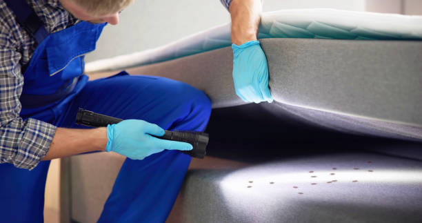 Best Pest Prevention Services  in Camden, SC