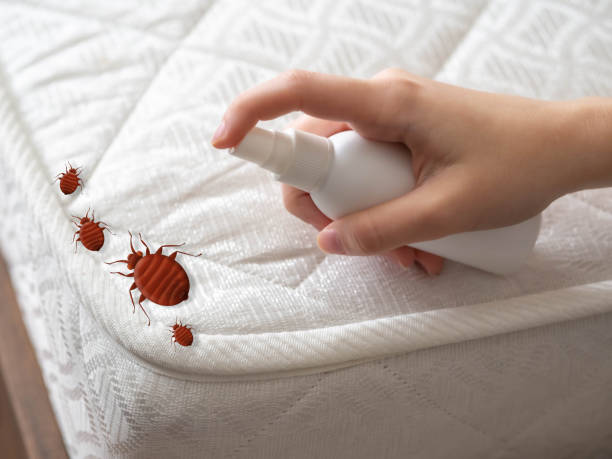 Best Cockroach Control Services  in Camden, SC