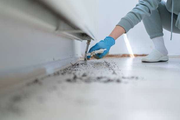 Trusted Camden, SC Pest Control Experts